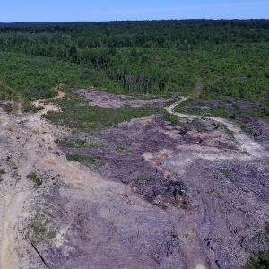 Photo of UNDER CONTRACT!  124.66 Acres of Hunting and Recreational Land For Sale in Lunenburg County VA!
