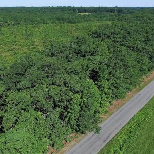 Photo of UNDER CONTRACT!  124.66 Acres of Hunting and Recreational Land For Sale in Lunenburg County VA!