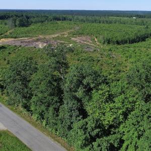 Photo of UNDER CONTRACT!  124.66 Acres of Hunting and Recreational Land For Sale in Lunenburg County VA!