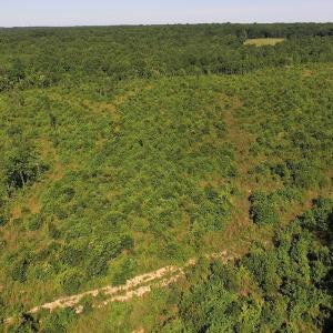 Photo of UNDER CONTRACT!  124.66 Acres of Hunting and Recreational Land For Sale in Lunenburg County VA!