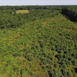 Photo of UNDER CONTRACT!  124.66 Acres of Hunting and Recreational Land For Sale in Lunenburg County VA!