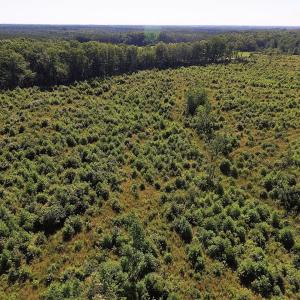 Photo of UNDER CONTRACT!  124.66 Acres of Hunting and Recreational Land For Sale in Lunenburg County VA!