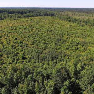 Photo of UNDER CONTRACT!  124.66 Acres of Hunting and Recreational Land For Sale in Lunenburg County VA!
