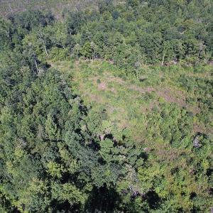 Photo of UNDER CONTRACT!  124.66 Acres of Hunting and Recreational Land For Sale in Lunenburg County VA!