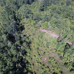 Photo of UNDER CONTRACT!  124.66 Acres of Hunting and Recreational Land For Sale in Lunenburg County VA!