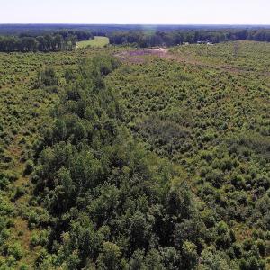 Photo of UNDER CONTRACT!  124.66 Acres of Hunting and Recreational Land For Sale in Lunenburg County VA!