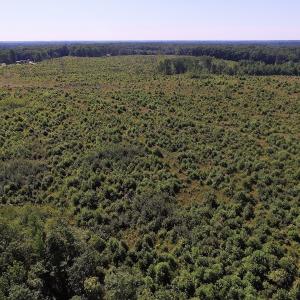 Photo of UNDER CONTRACT!  124.66 Acres of Hunting and Recreational Land For Sale in Lunenburg County VA!