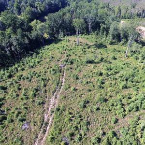 Photo of UNDER CONTRACT!  124.66 Acres of Hunting and Recreational Land For Sale in Lunenburg County VA!