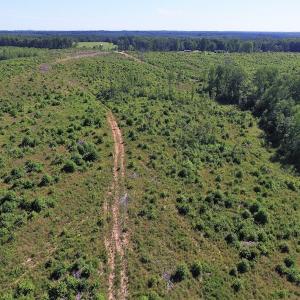 Photo of UNDER CONTRACT!  124.66 Acres of Hunting and Recreational Land For Sale in Lunenburg County VA!