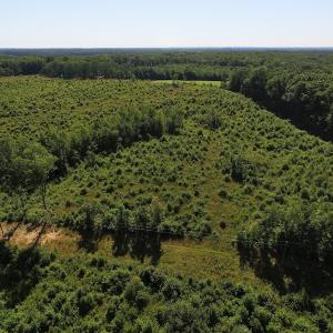Photo of UNDER CONTRACT!  124.66 Acres of Hunting and Recreational Land For Sale in Lunenburg County VA!