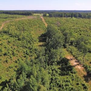 Photo of UNDER CONTRACT!  124.66 Acres of Hunting and Recreational Land For Sale in Lunenburg County VA!