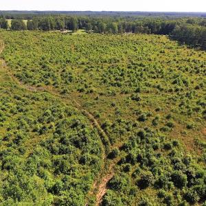 Photo of UNDER CONTRACT!  124.66 Acres of Hunting and Recreational Land For Sale in Lunenburg County VA!