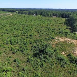 Photo of UNDER CONTRACT!  124.66 Acres of Hunting and Recreational Land For Sale in Lunenburg County VA!