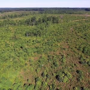 Photo of UNDER CONTRACT!  124.66 Acres of Hunting and Recreational Land For Sale in Lunenburg County VA!