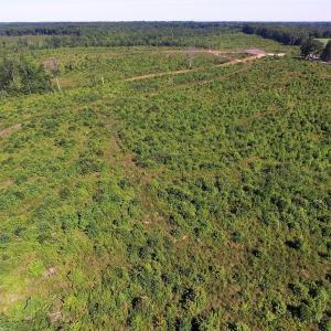 Photo of UNDER CONTRACT!  124.66 Acres of Hunting and Recreational Land For Sale in Lunenburg County VA!
