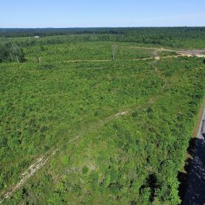 Photo of UNDER CONTRACT!  124.66 Acres of Hunting and Recreational Land For Sale in Lunenburg County VA!