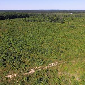 Photo of UNDER CONTRACT!  124.66 Acres of Hunting and Recreational Land For Sale in Lunenburg County VA!