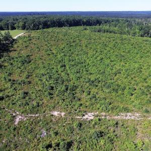 Photo of UNDER CONTRACT!  124.66 Acres of Hunting and Recreational Land For Sale in Lunenburg County VA!