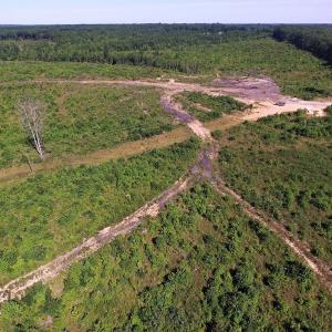 Photo of UNDER CONTRACT!  124.66 Acres of Hunting and Recreational Land For Sale in Lunenburg County VA!