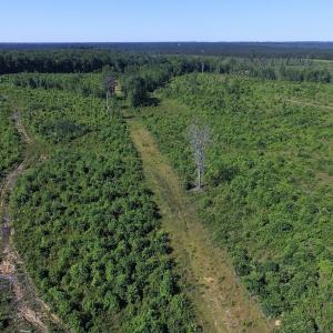 Photo of UNDER CONTRACT!  124.66 Acres of Hunting and Recreational Land For Sale in Lunenburg County VA!