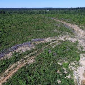 Photo of UNDER CONTRACT!  124.66 Acres of Hunting and Recreational Land For Sale in Lunenburg County VA!