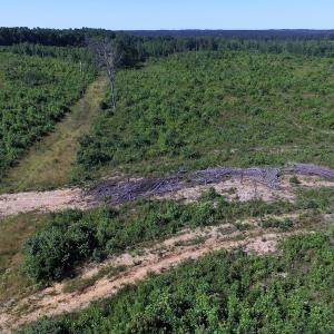 Photo of UNDER CONTRACT!  124.66 Acres of Hunting and Recreational Land For Sale in Lunenburg County VA!