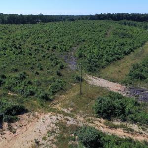 Photo of UNDER CONTRACT!  124.66 Acres of Hunting and Recreational Land For Sale in Lunenburg County VA!