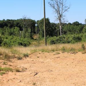 Photo of UNDER CONTRACT!  124.66 Acres of Hunting and Recreational Land For Sale in Lunenburg County VA!