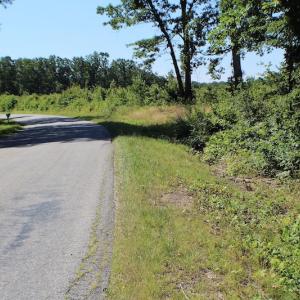 Photo of UNDER CONTRACT!  124.66 Acres of Hunting and Recreational Land For Sale in Lunenburg County VA!