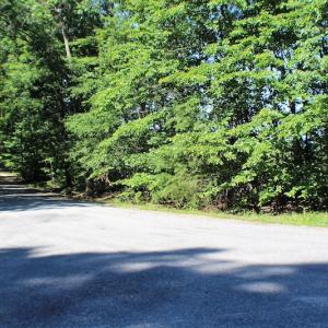 Photo of UNDER CONTRACT!  124.66 Acres of Hunting and Recreational Land For Sale in Lunenburg County VA!