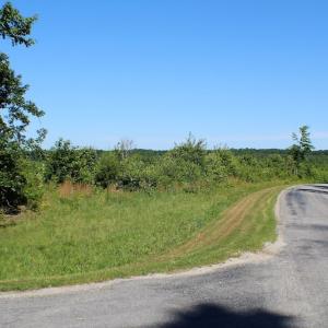 Photo of UNDER CONTRACT!  124.66 Acres of Hunting and Recreational Land For Sale in Lunenburg County VA!