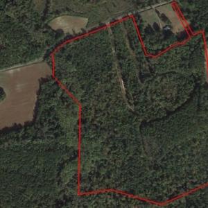 Photo of SOLD!  62 Acres of Hunting Land with Home Site For Sale in Suffolk Virginia!