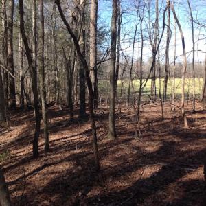 Photo of SOLD!  62 Acres of Hunting Land with Home Site For Sale in Suffolk Virginia!