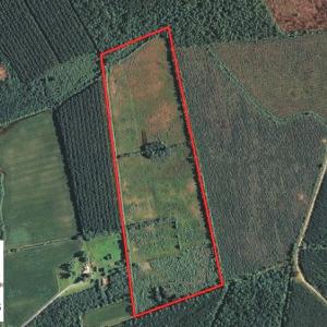 Photo of UNDER CONTRACT!  46 Acres of Timber and Hunting Land for Sale in Columbus County NC!