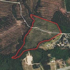 Photo of UNDER CONTRACT!  33 Acres of Hunting and Timber Land for Sale in Duplin County NC!