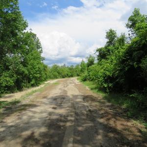 Photo of UNDER CONTRACT!  28 Acres of Hunting and Timber Land for Sale in Duplin County NC!