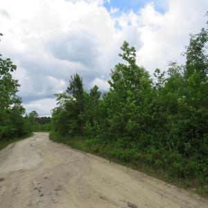 Photo of UNDER CONTRACT!  28 Acres of Hunting and Timber Land for Sale in Duplin County NC!