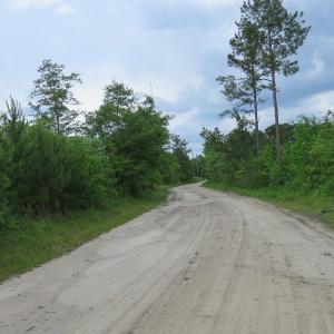 Photo of UNDER CONTRACT!  28 Acres of Hunting and Timber Land for Sale in Duplin County NC!