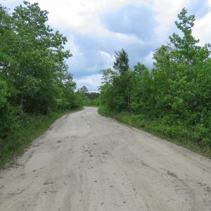 Photo of UNDER CONTRACT!  28 Acres of Hunting and Timber Land for Sale in Duplin County NC!