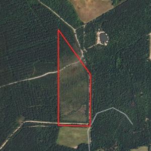 Photo of UNDER CONTRACT!  28 Acres of Hunting and Timber Land for Sale in Duplin County NC!