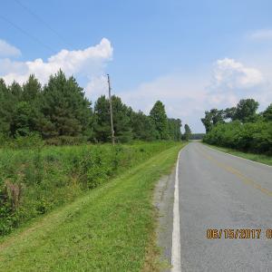 Photo of SOLD!  38 Acres of Hunting and Timber Land for Sale in Duplin County NC!