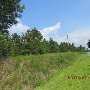 Photo of SOLD!  38 Acres of Hunting and Timber Land for Sale in Duplin County NC!