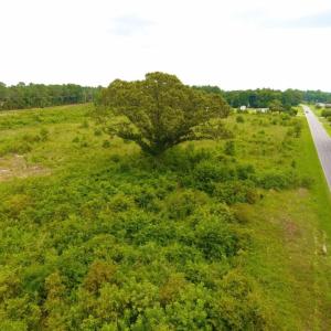 Photo of SOLD!  10.72 Acres of Recreational and Residential Property For Sale In Wayne County NC!