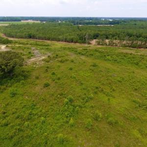 Photo of SOLD!  10.72 Acres of Recreational and Residential Property For Sale In Wayne County NC!