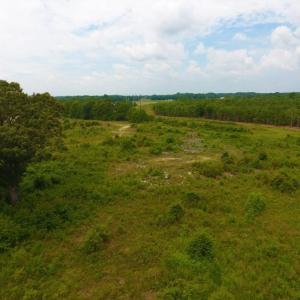 Photo of SOLD!  10.72 Acres of Recreational and Residential Property For Sale In Wayne County NC!
