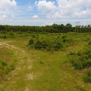 Photo of SOLD!  10.72 Acres of Recreational and Residential Property For Sale In Wayne County NC!