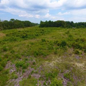 Photo of SOLD!  10.72 Acres of Recreational and Residential Property For Sale In Wayne County NC!