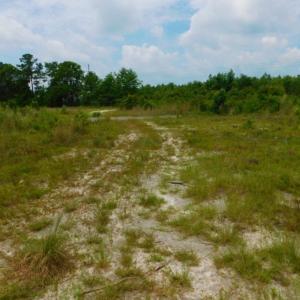 Photo of SOLD!  10.72 Acres of Recreational and Residential Property For Sale In Wayne County NC!