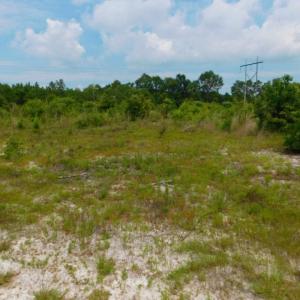 Photo of SOLD!  10.72 Acres of Recreational and Residential Property For Sale In Wayne County NC!