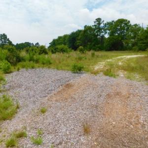 Photo of SOLD!  10.72 Acres of Recreational and Residential Property For Sale In Wayne County NC!